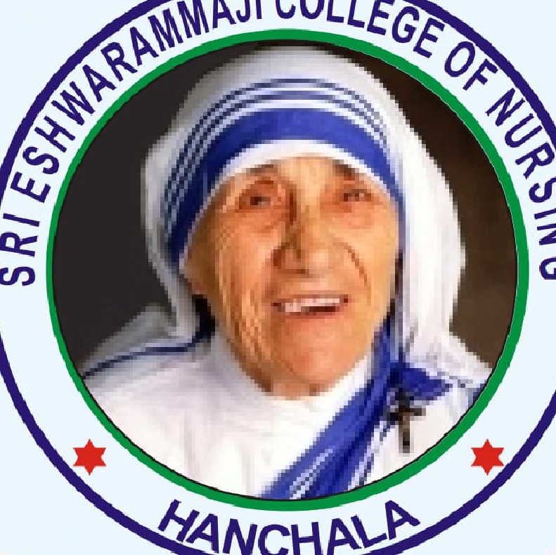 SEJI Logo